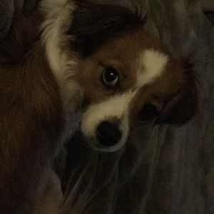 Meet your Posher, Gladys